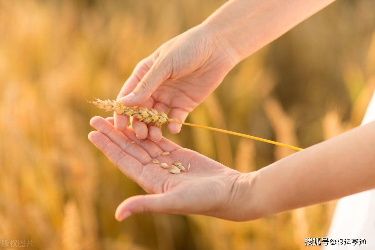 今日小麦价格行情<strong></p>
<p>比特币今日行情价格</strong>！8月29日