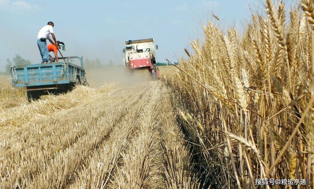 今日小麦价格行情<strong></p>
<p>比特币今日行情价格</strong>！8月30日