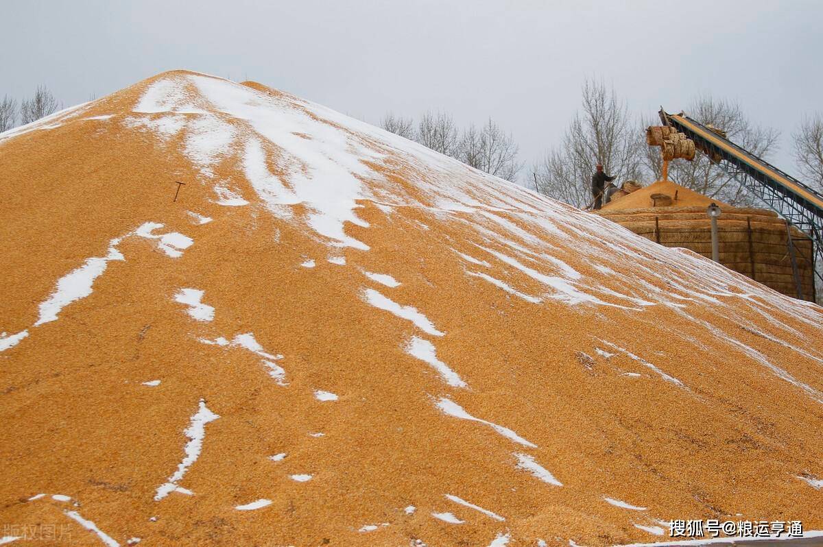 今日玉米价格行情<strong></p>
<p>比特币今日行情价格</strong>！8月29日
