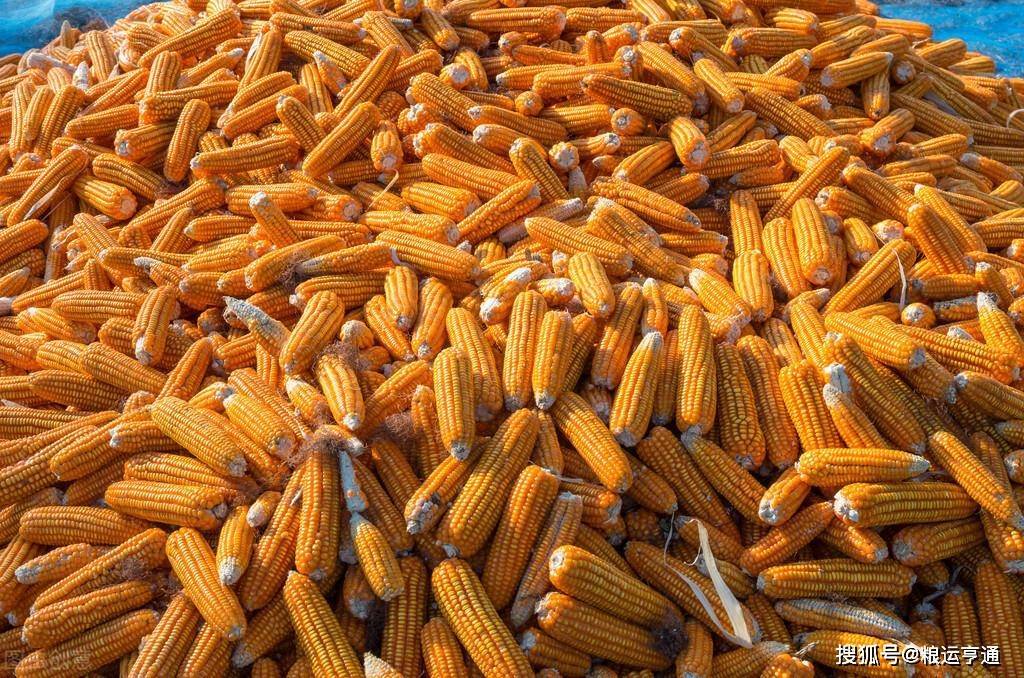 今日玉米价格<strong></p>
<p>比特币今日行情价格</strong>！8月21日最新行情