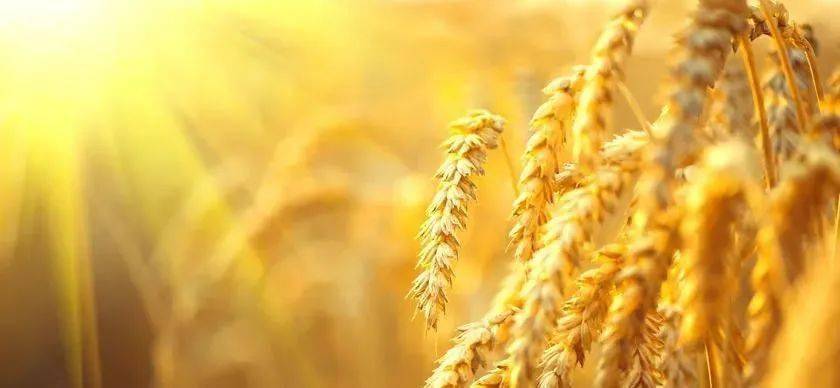 今日<strong></p>
<p>比特币今日行情价格</strong>，全国尿素价格行情2022年10月9日