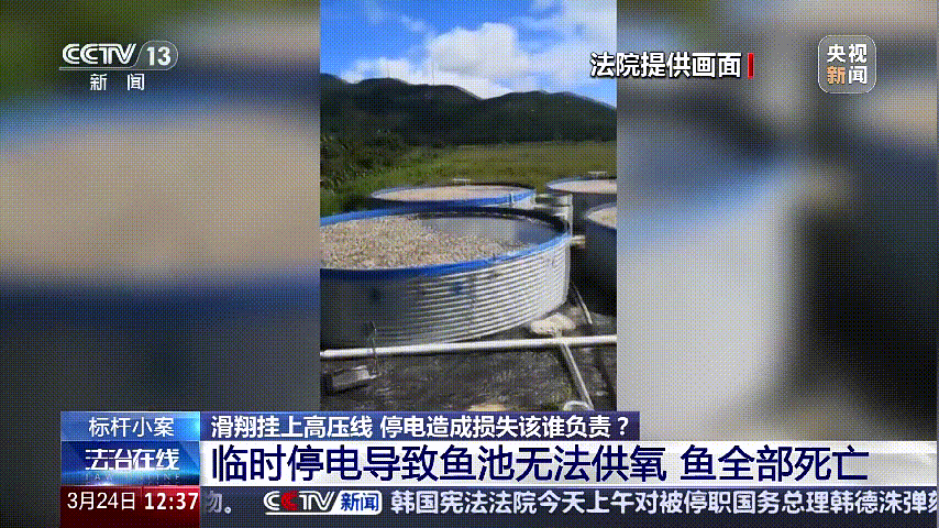 深圳女子被挂高压线！停电救援<strong></p>
<p>国际原油的价格</strong>，9池鱼死光！他怒上法庭……