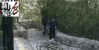 太猖狂！事发上海迪士尼<strong></p>
<p>论原油</strong>，7人被刑拘