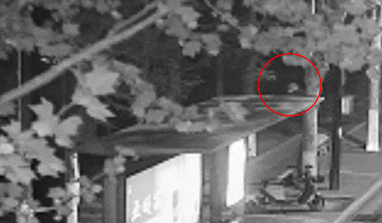 江苏一男子戴仿真“人皮”面具入室盗窃<strong></p>
<p>原油解套</strong>，流窜多个小区作案，涉案金额达15万余元