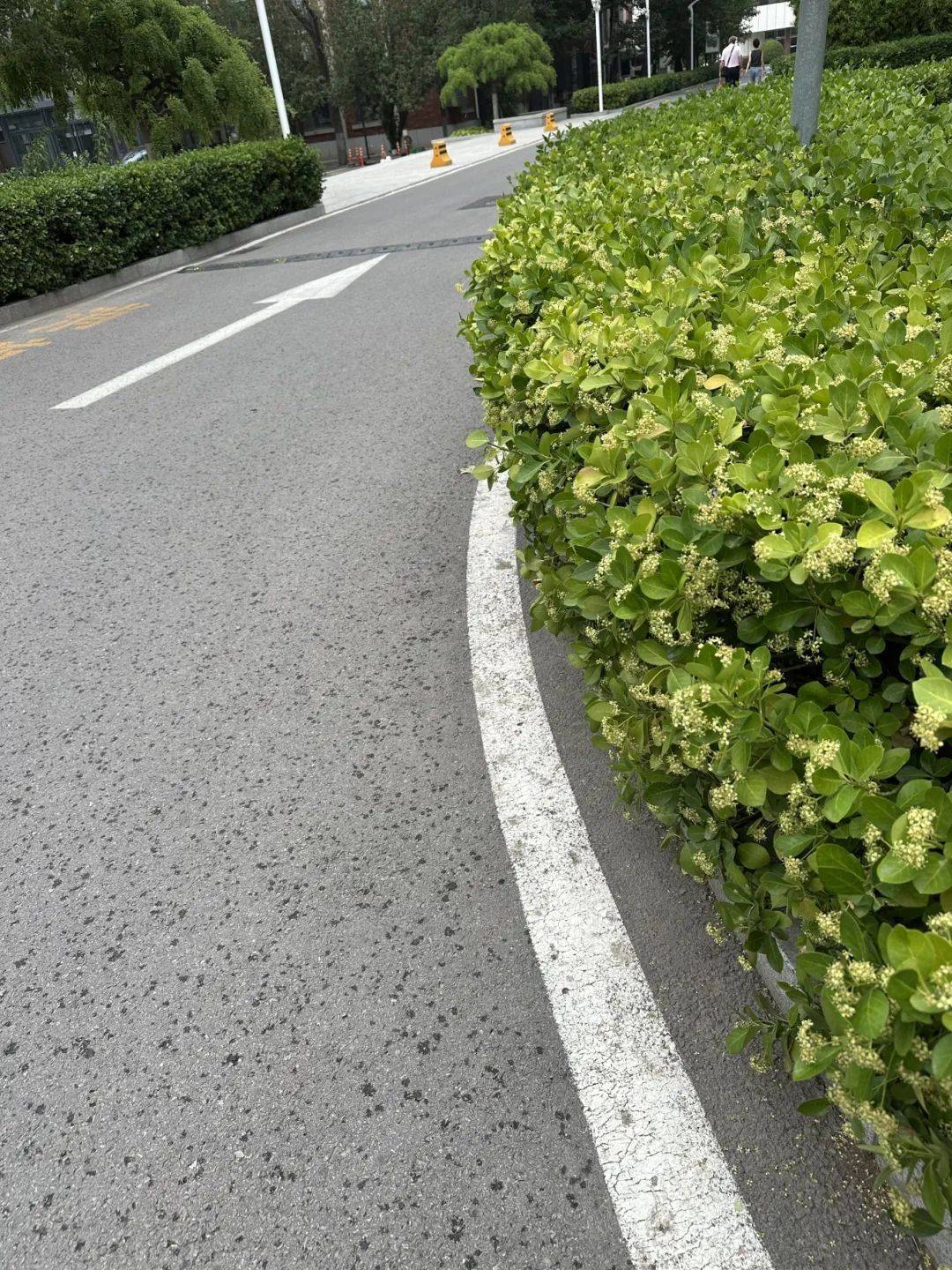 下雨了<strong></p>
<p>原油酸</strong>!天津接下来十天都是……