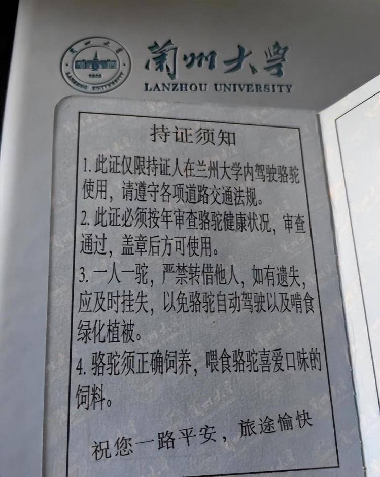 一人一驼<strong></p>
<p>工行</strong>，骆驼尾气排放超标要扣分？兰大回应学生持证骑骆驼上学：骆驼驾驶证为学校文创，非官方证件