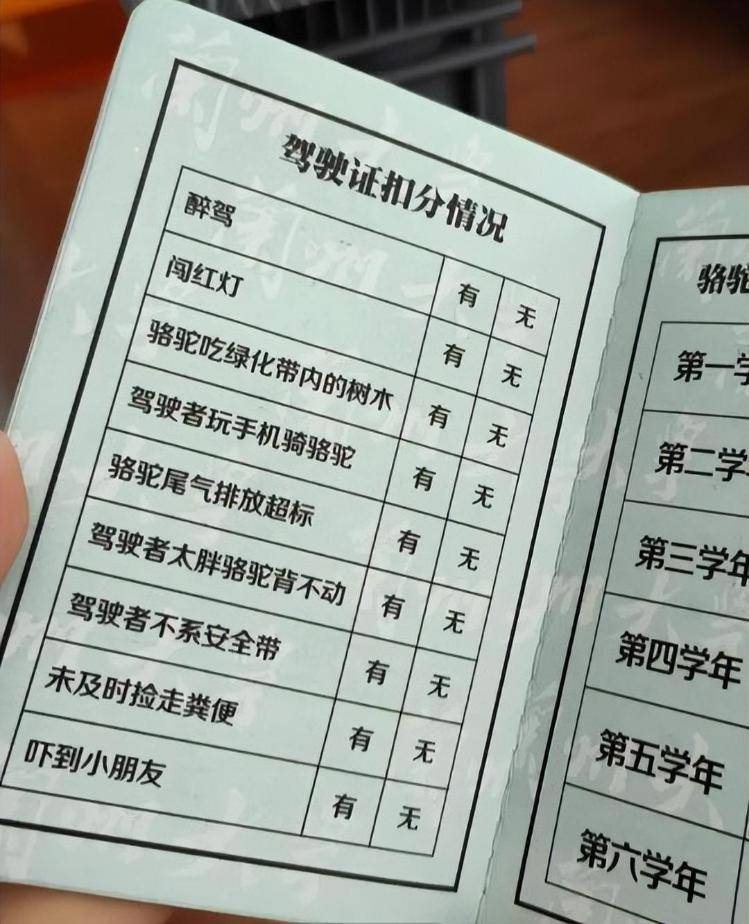 一人一驼<strong></p>
<p>工行</strong>，骆驼尾气排放超标要扣分？兰大回应学生持证骑骆驼上学：骆驼驾驶证为学校文创，非官方证件