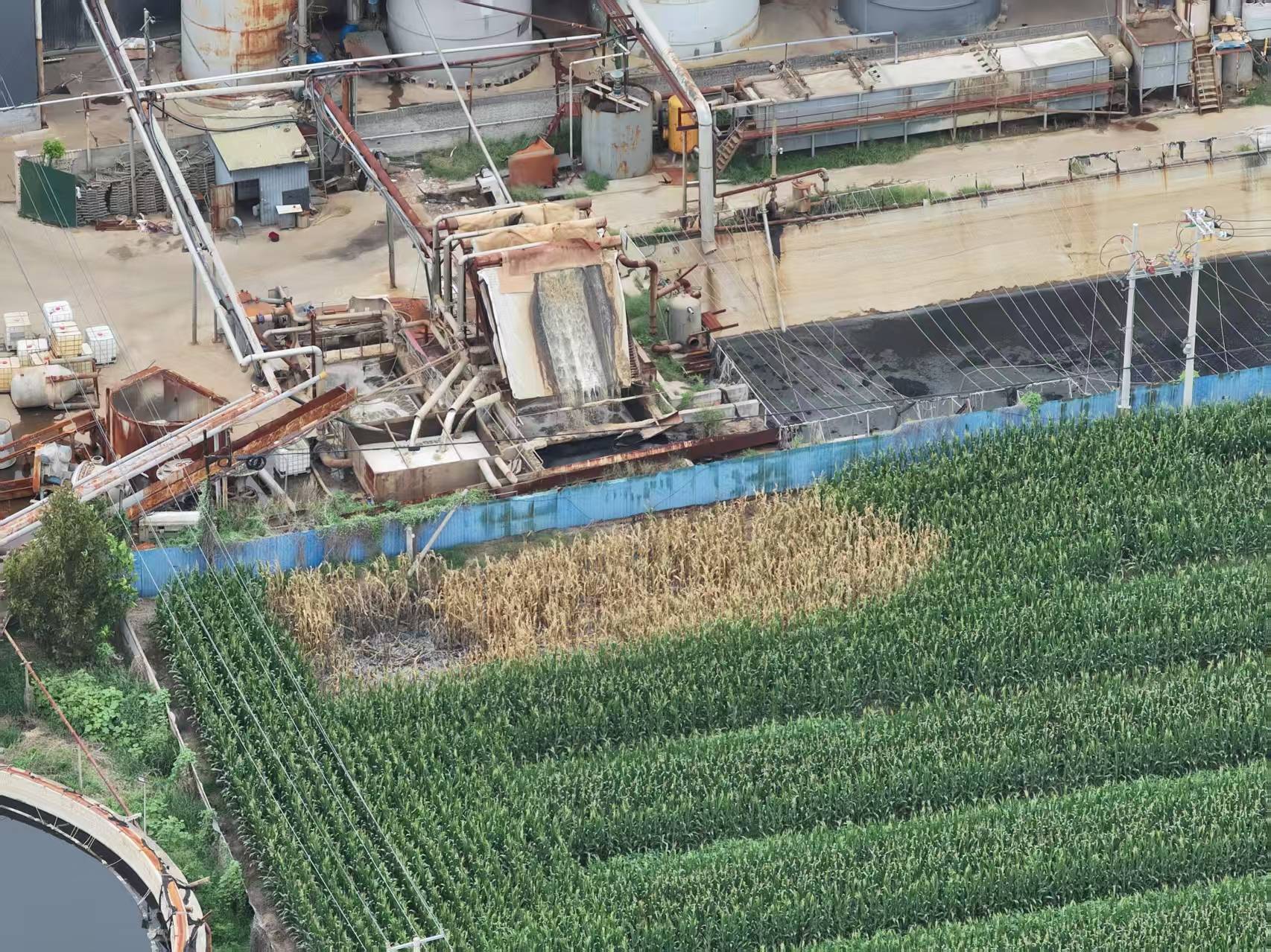 河北柏乡:造纸厂污水外排大片农作物致死引关注<strong></p>
<p>原油期货价格走势</strong>！