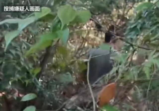 湖南一男子发疯行凶致3死1伤<strong></p>
<p>原油棒</strong>，研究生制止被刺身亡
