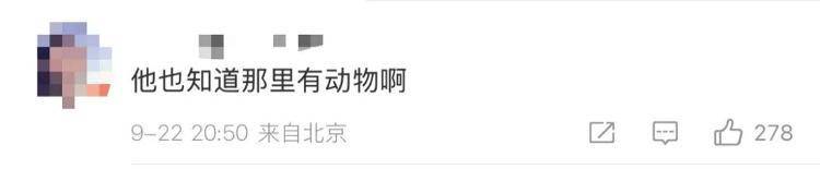 “感谢大家支持我大闹天宫……”蔡国强烟花秀现场感言视频披露<strong></p>
<p>原油苯</strong>，又遭质疑！