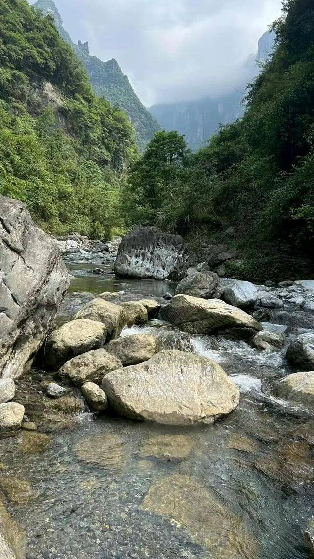 90后杨东东夺得荒野求生挑战赛冠军<strong></p>
<p>原油苯</strong>,每顿饭都会吃点老鼠,获10万奖金,比赛前后对比照曝光