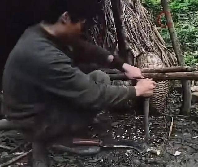 90后杨东东夺得荒野求生挑战赛冠军<strong></p>
<p>原油苯</strong>,每顿饭都会吃点老鼠,获10万奖金,比赛前后对比照曝光