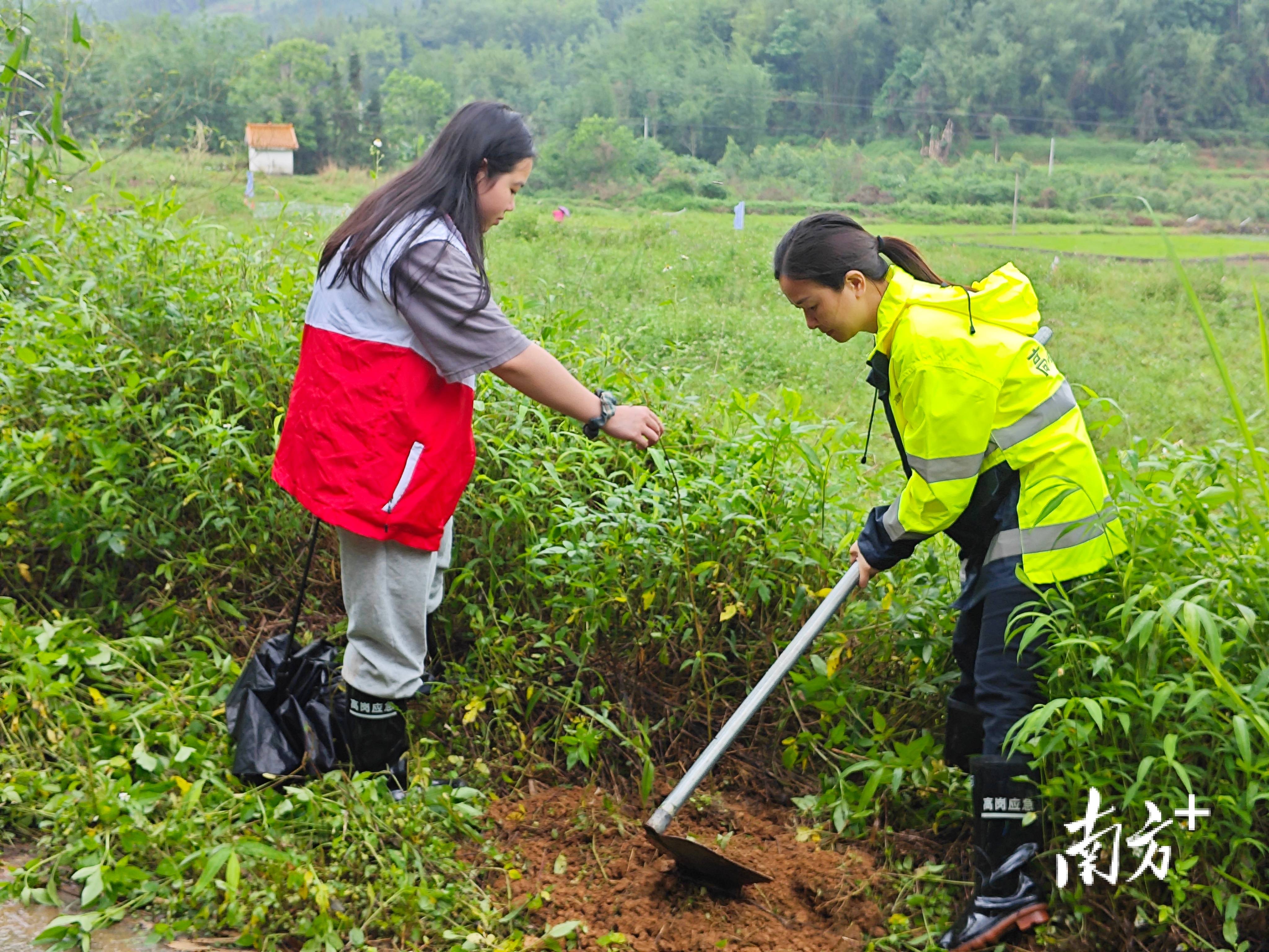 “外来媳妇”谭焕贞五年深耕<strong></p>
<p>石蜡基原油</strong>，佛冈高岗宝山村换新貌