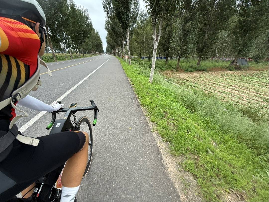 厉害了<strong></p>
<p>爬虫</strong>！沈阳少年独自骑行1850公里去武汉上大学