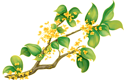 国庆、中秋假日期间天气预报新鲜出炉<strong></p>
<p>充电</strong>！