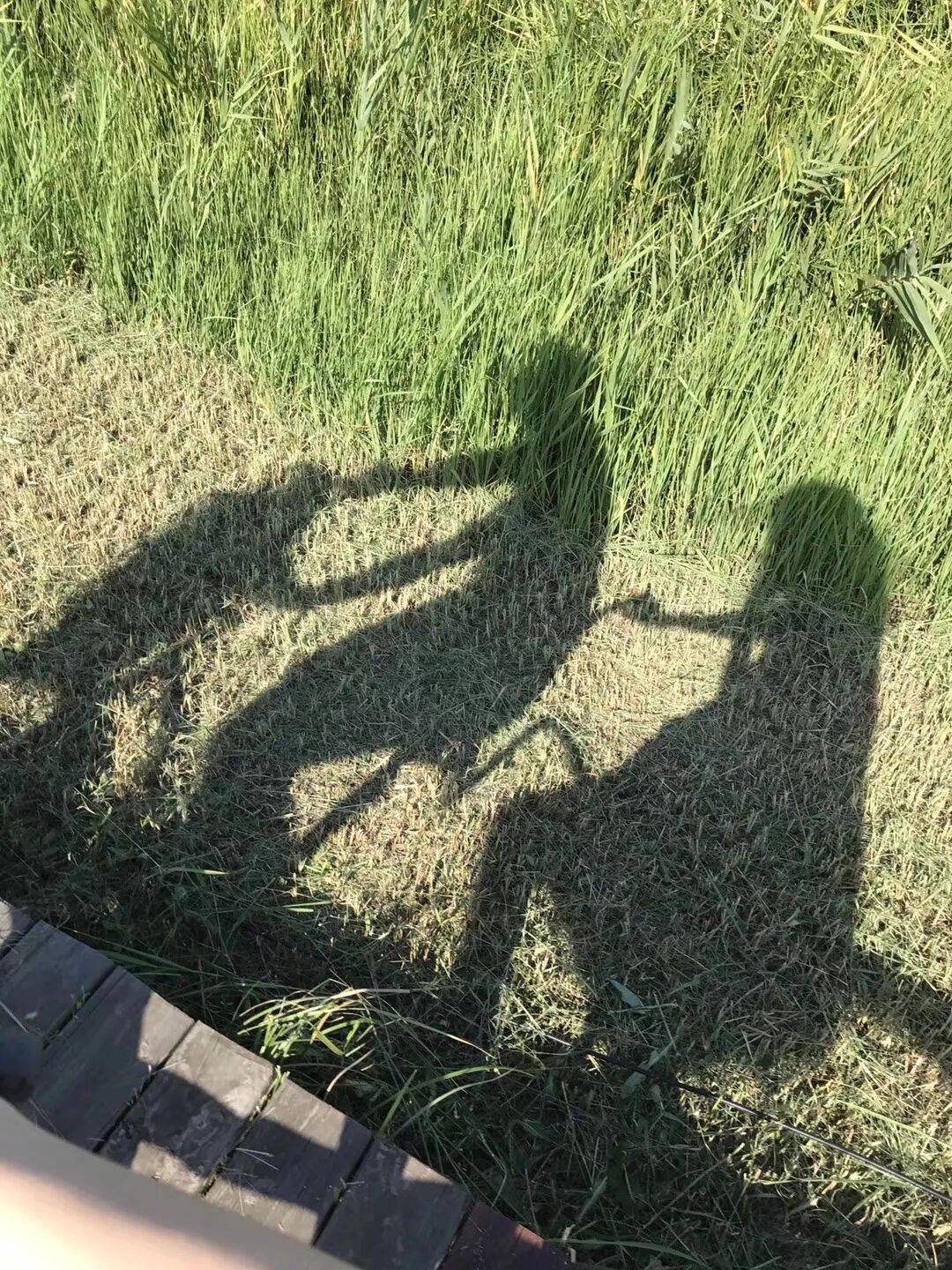 纸质火车票退场<strong></p>
<p>充电</strong>，每道折痕里都藏着远方、爱情与山河记忆