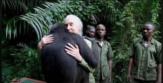 “课本上的传奇”<strong></p>
<p>php</strong>,走了