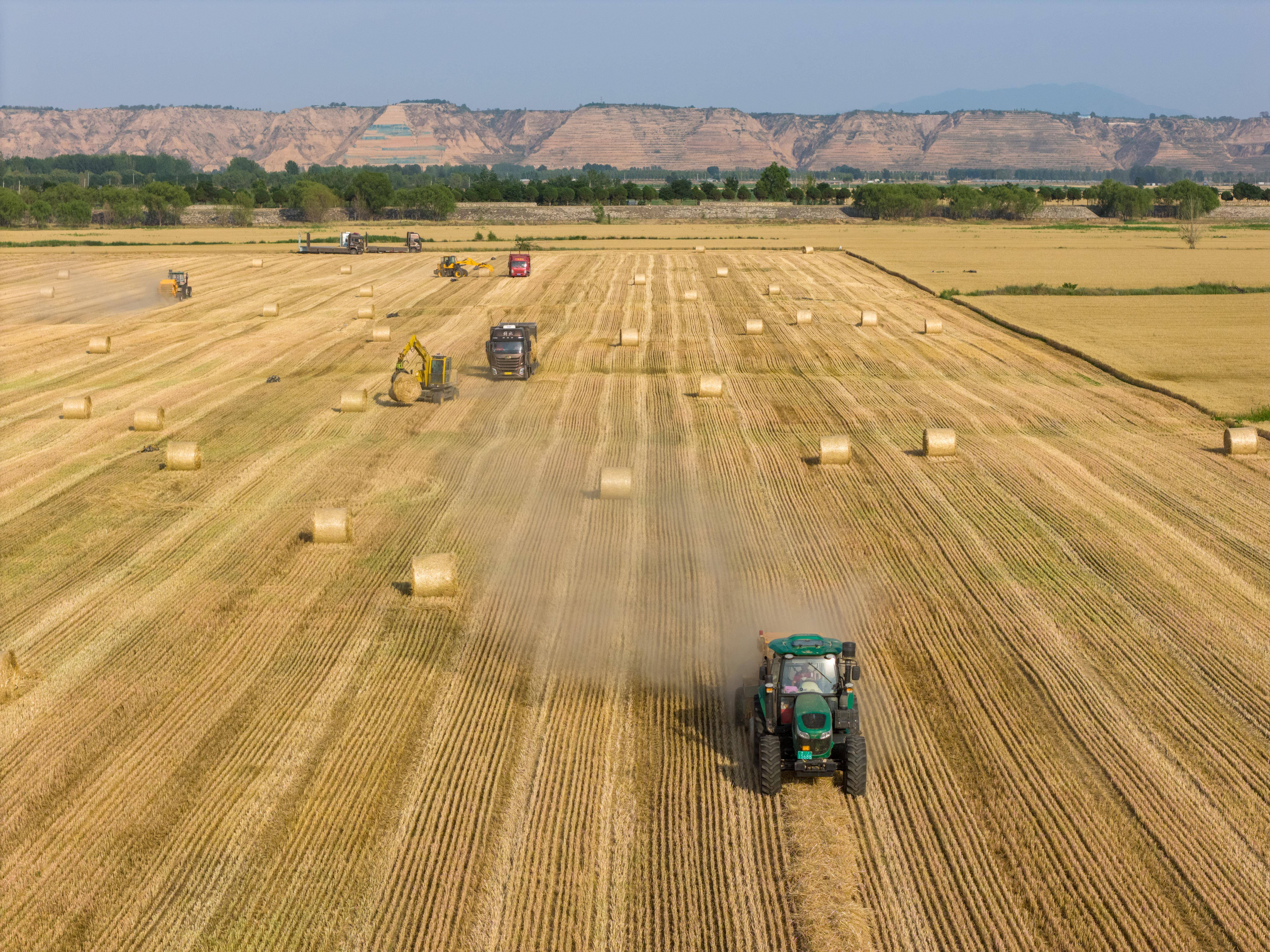 时政微观察丨为<strong></p>
<p>php</strong>了前无古人的伟大事业