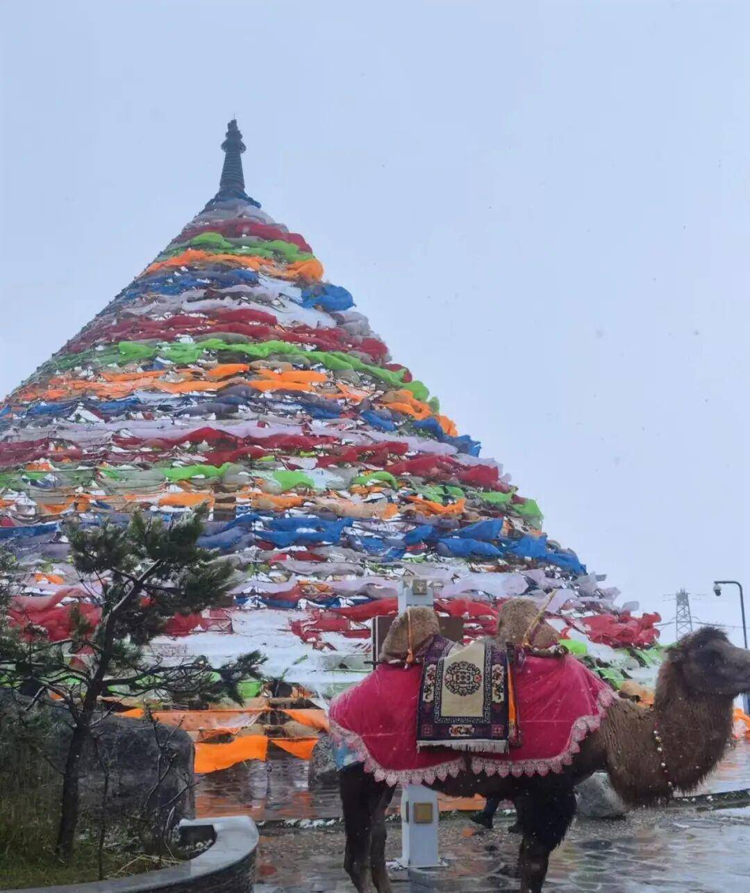 多地突降大雪<strong></p>
<p>php</strong>！