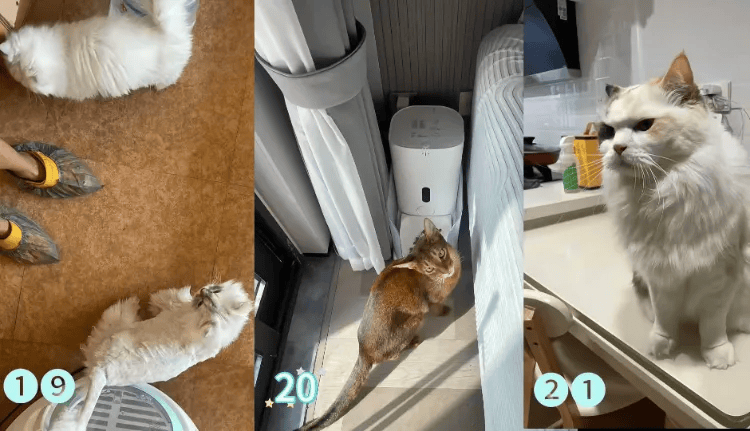 这个需求激增！一男子连接270单<strong></p>
<p>XRP行情</strong>，其中一笔收费8100元