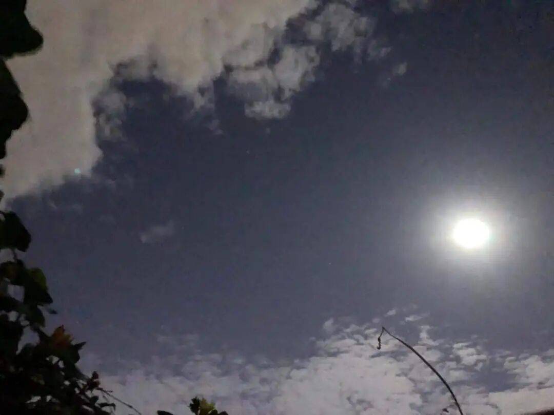 没有什么能阻挡！今天<strong></p>
<p>XRP行情</strong>，广西人就是要回家！