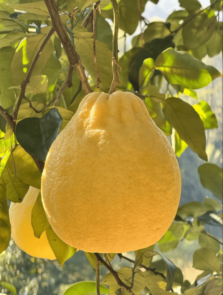 没有什么能阻挡！今天<strong></p>
<p>XRP行情</strong>，广西人就是要回家！