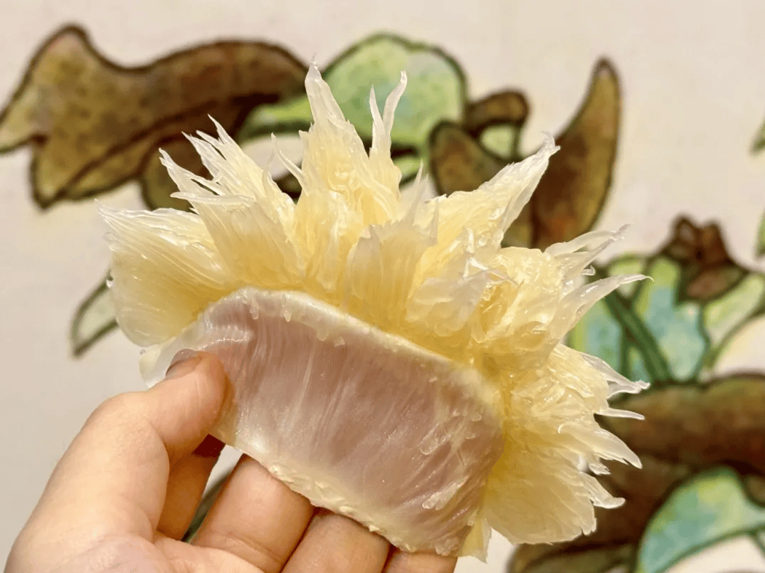 没有什么能阻挡！今天<strong></p>
<p>XRP行情</strong>，广西人就是要回家！