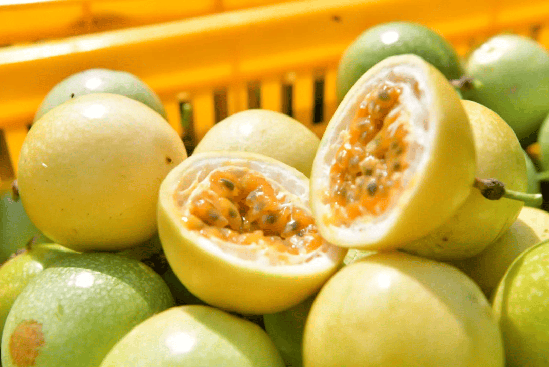 没有什么能阻挡！今天<strong></p>
<p>XRP行情</strong>，广西人就是要回家！