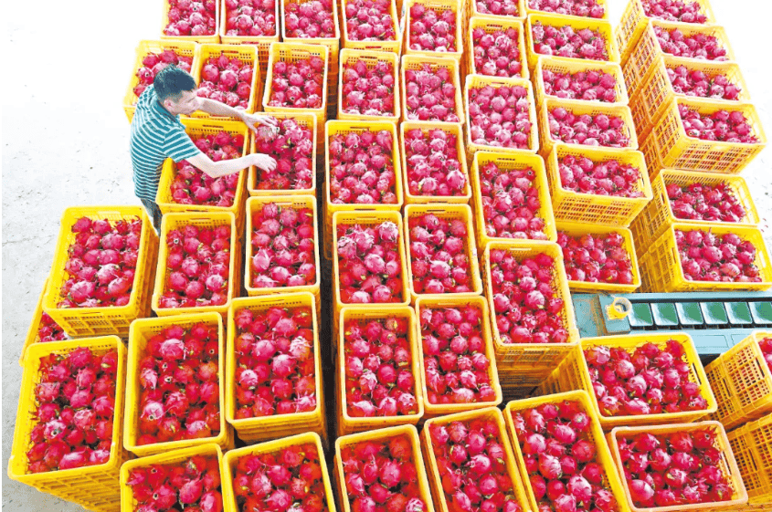 没有什么能阻挡！今天<strong></p>
<p>XRP行情</strong>，广西人就是要回家！