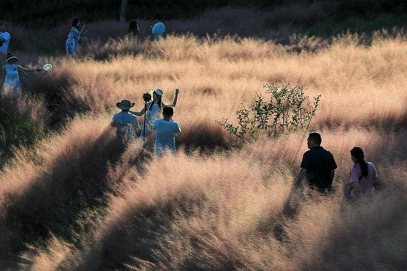 打卡拍照<strong></p>
<p>瑞波币行情</strong>，再美也不能用生命对焦