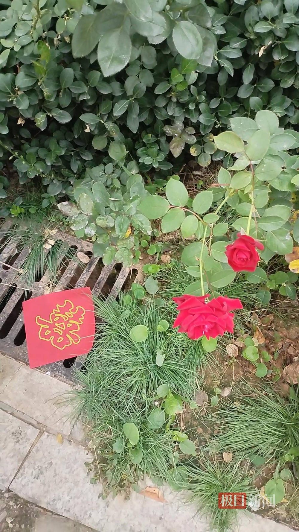 山西婚礼要在下水道井盖贴“喜”字?有的井盖被贴了8张<strong></p>
<p>瑞波币行情</strong>,当地居民:寓意不踩坑、驱晦迎喜