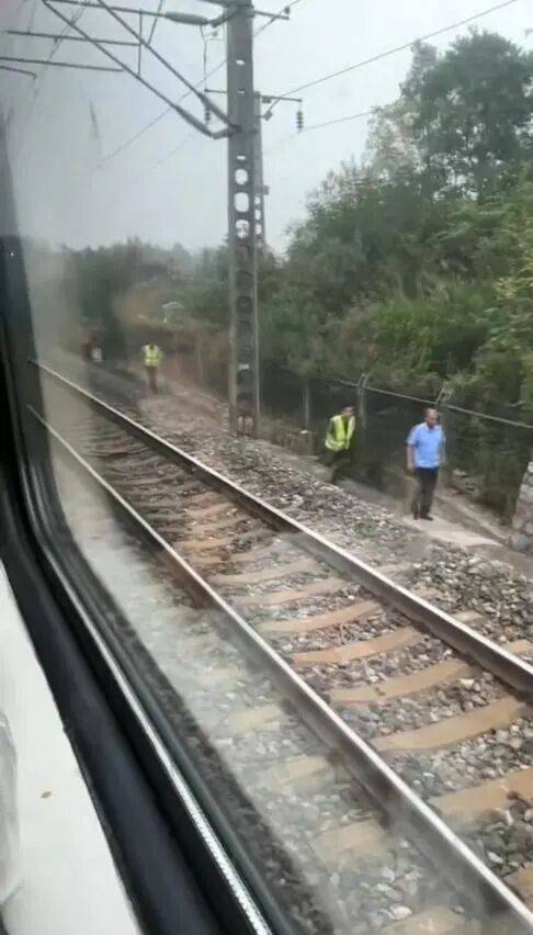 湖北一列车撞上野猪致停运<strong></p>
<p>币安币行情</strong>，铁路局：野猪已无害化处理，列车正常运行；附近曾发生多起野猪伤人事件