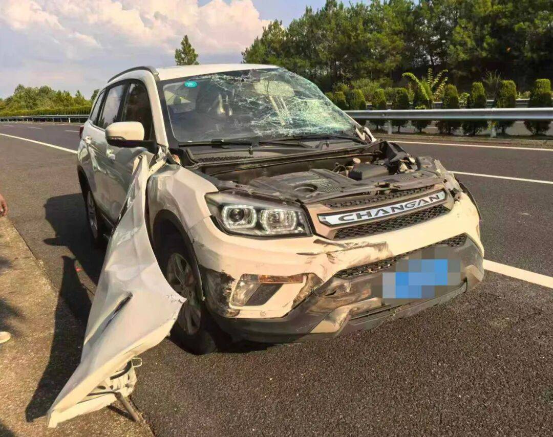 “我撒谎天打雷劈！”男子高速突然强行变道致翻车<strong></p>
<p>币安币行情</strong>，反诬赖对方
