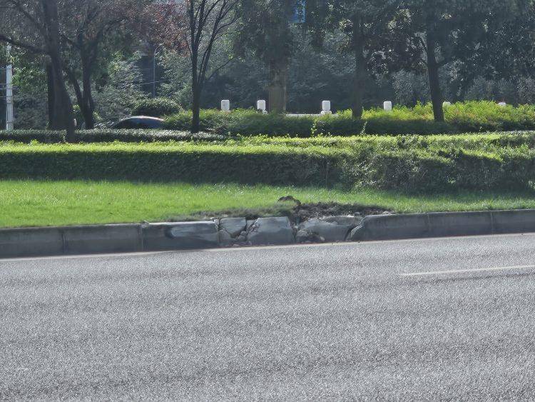 成都发生一起严重交通事故<strong></p>
<p>BNB行情</strong>，上游新闻实地探访：燃烧留下的印记仍在