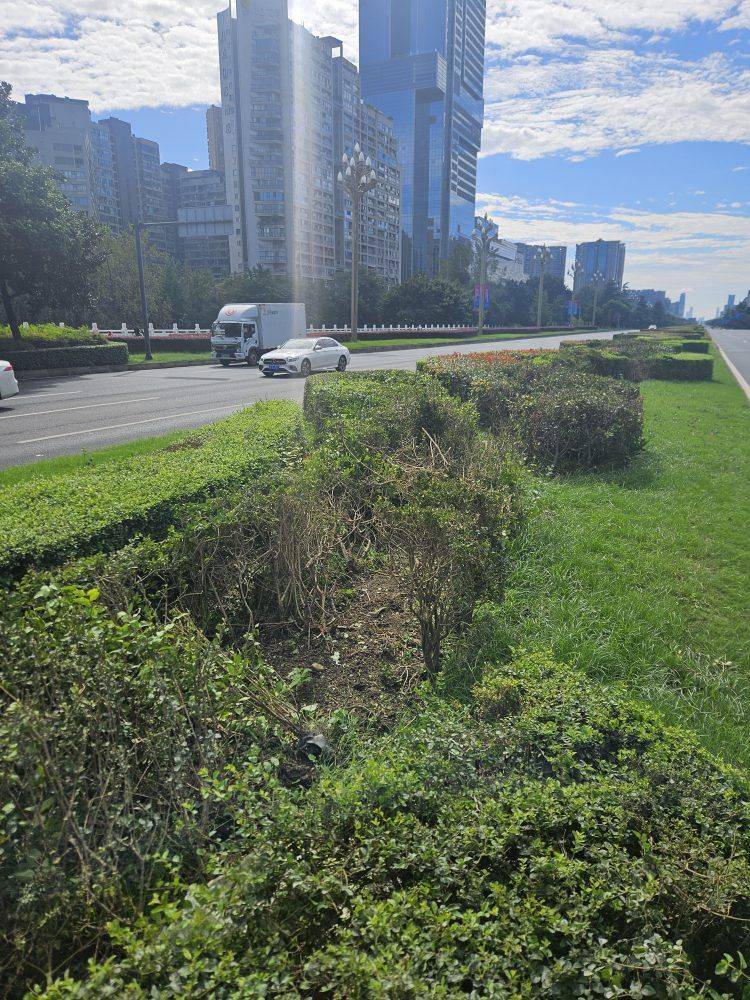 成都发生一起严重交通事故<strong></p>
<p>BNB行情</strong>，上游新闻实地探访：燃烧留下的印记仍在