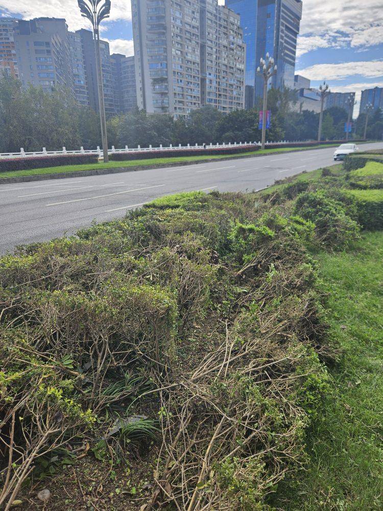 成都发生一起严重交通事故<strong></p>
<p>BNB行情</strong>，上游新闻实地探访：燃烧留下的印记仍在