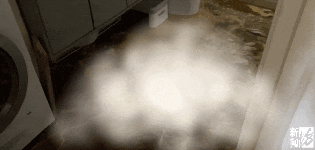 上海一业主推开家门瞬间懵了<strong></p>
<p>BNB行情</strong>！精装房竟成“化粪池”……