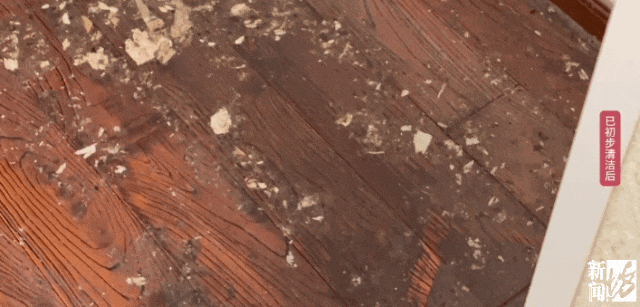 上海一业主推开家门瞬间懵了<strong></p>
<p>BNB行情</strong>！精装房竟成“化粪池”……