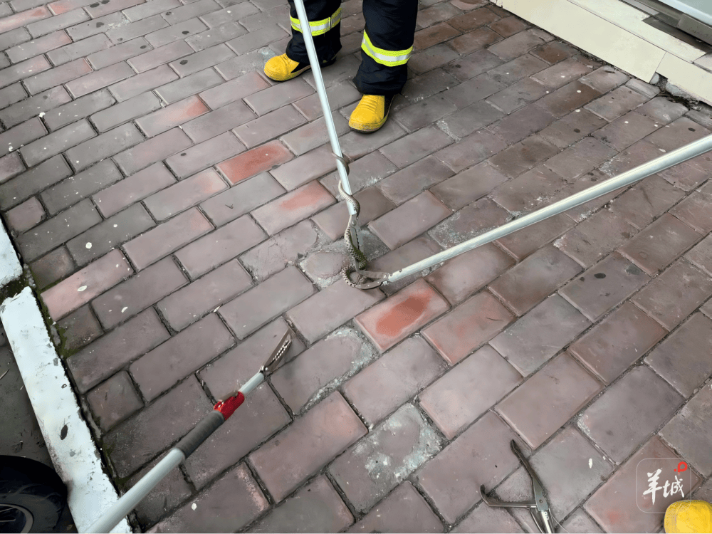 广州一小区蛇患频发：已抓超60条但未探测到蛇窝位置<strong></p>
<p>币安币行情</strong>，多方介入