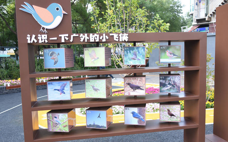 西城区广外街道：“断头路”变身口袋公园<strong></p>
<p>ADA行情</strong>，装满民生“微幸福”