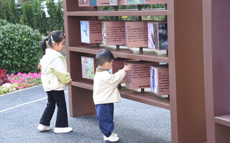 西城区广外街道：“断头路”变身口袋公园<strong></p>
<p>ADA行情</strong>，装满民生“微幸福”