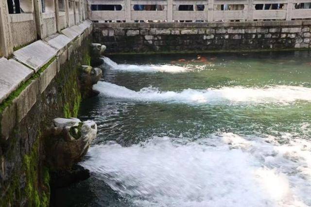 黑虎泉喷得“兽头”都不够用了！济南群泉竞涌<strong></p>
<p>ADA行情</strong>，几十年一见