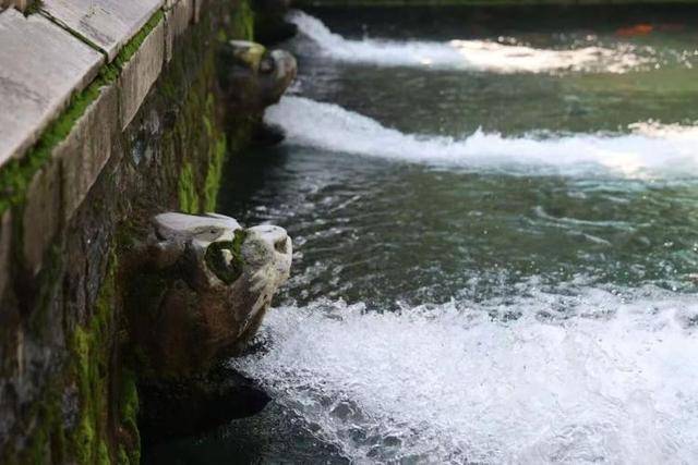 黑虎泉喷得“兽头”都不够用了！济南群泉竞涌<strong></p>
<p>ADA行情</strong>，几十年一见