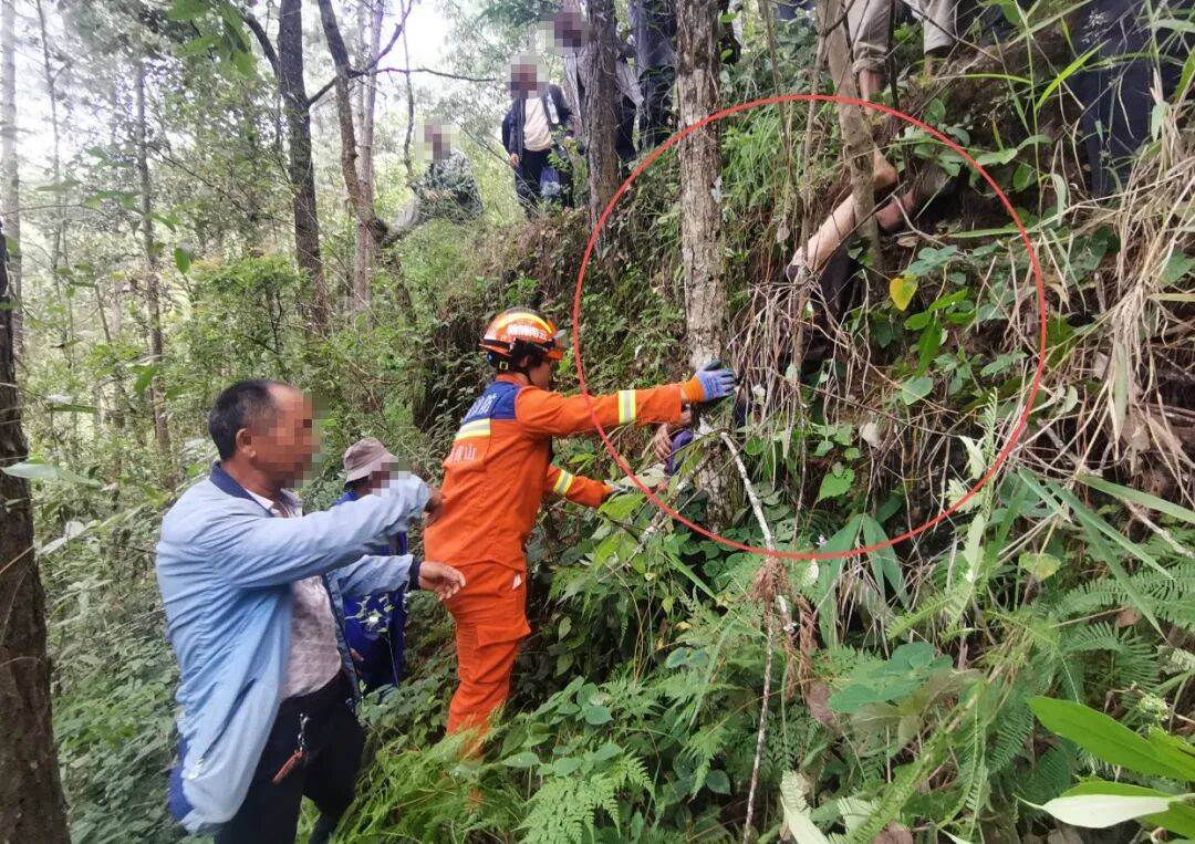 93岁老人进山失联<strong></p>
<p>ADA行情</strong>，两天后发现他倒挂在树杈上苦撑……