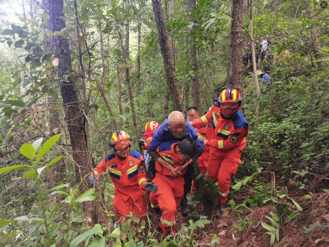 93岁老人进山失联<strong></p>
<p>ADA行情</strong>，两天后发现他倒挂在树杈上苦撑……