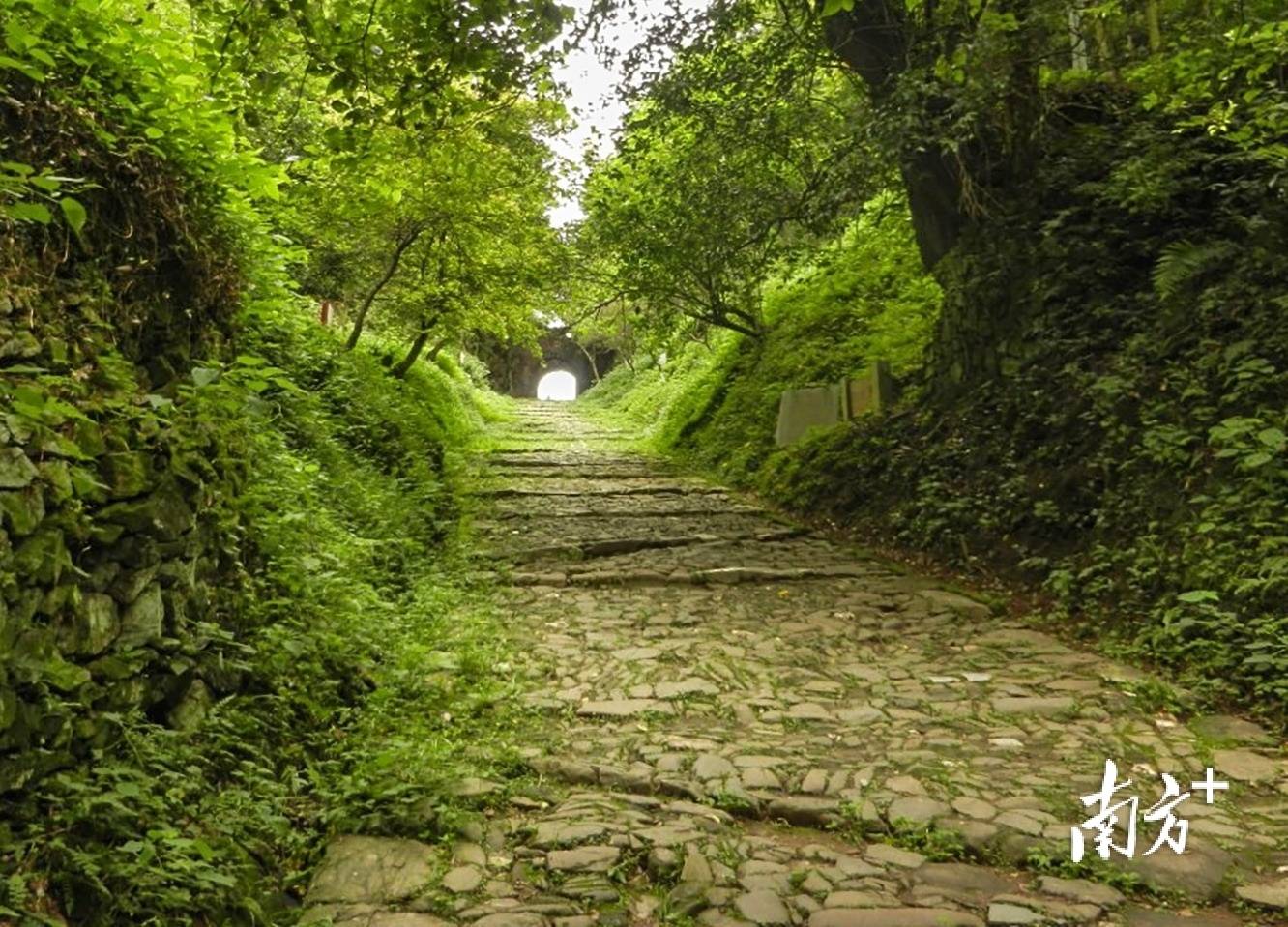 张九龄之妻墓现身西安<strong></p>
<p>ADA行情</strong>，“岭南第一人”在岭南还留下这些踪迹