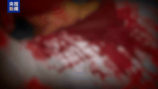 “随便找个陌生人杀<strong></p>
<p>ADA行情</strong>了祭天” 缅北魏家接班人回应残忍手段:没什么感受
