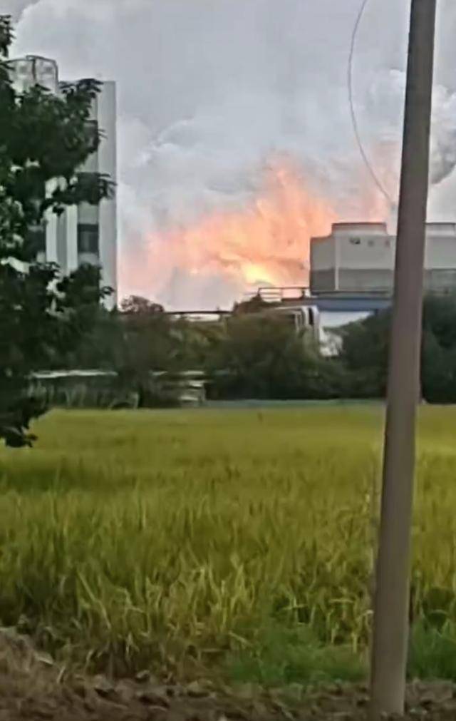 澄星股份工厂发生火灾？附近酒店：已灭火<strong></p>
<p>比特现金行情</strong>，有刺激性气味，建议不开窗