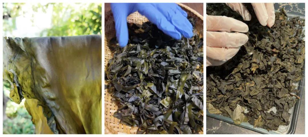 被万亿巨头忽略的赛道<strong></p>
<p>比特现金行情</strong>,却受年轻人追捧,有公司年销70亿