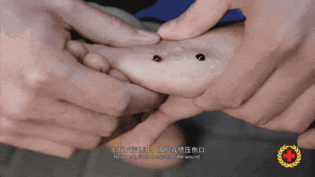 女子半夜上厕所<strong></p>
<p>莱特币行情</strong>，马桶里突然窜出一条蛇！